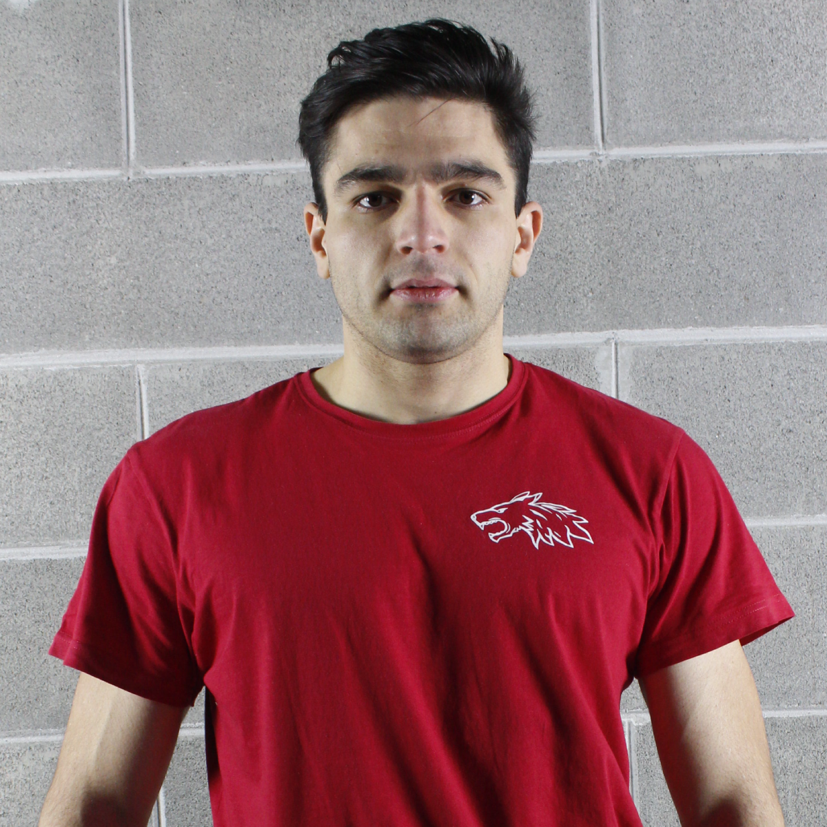 Andrea Alberti